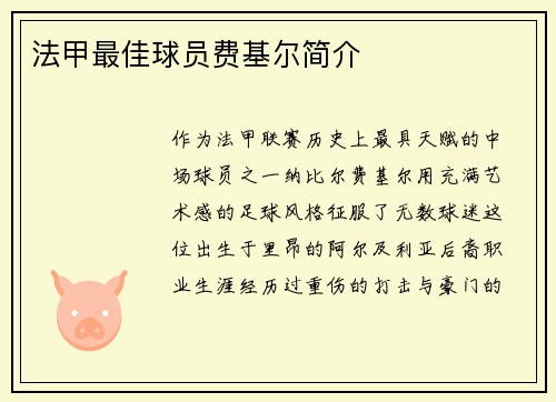 法甲最佳球员费基尔简介